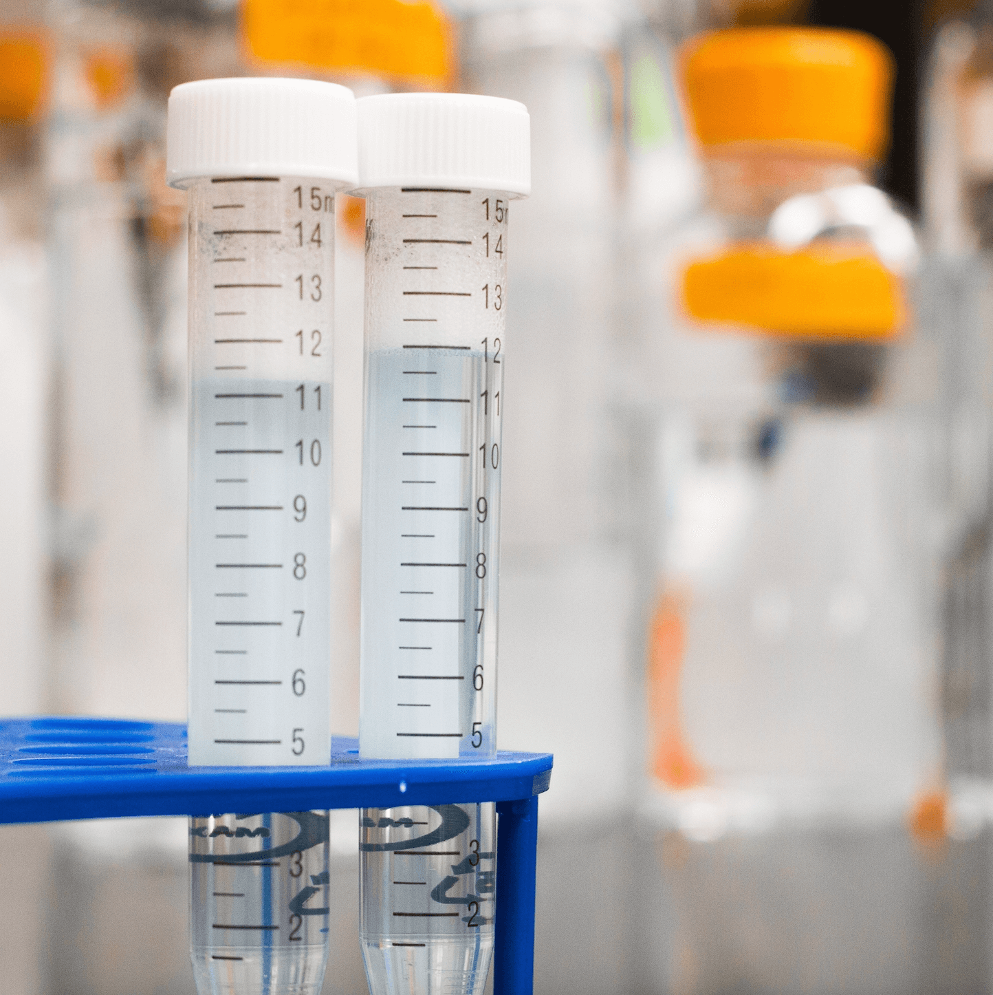 CBD oil and drug tests